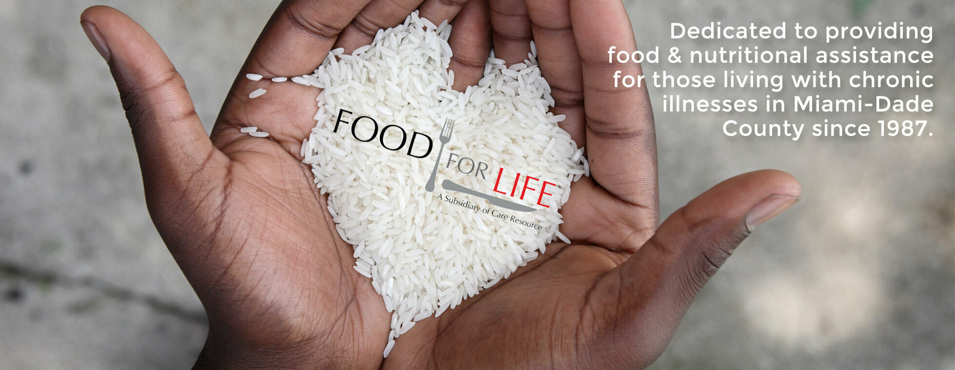 Food For Life Donation Page